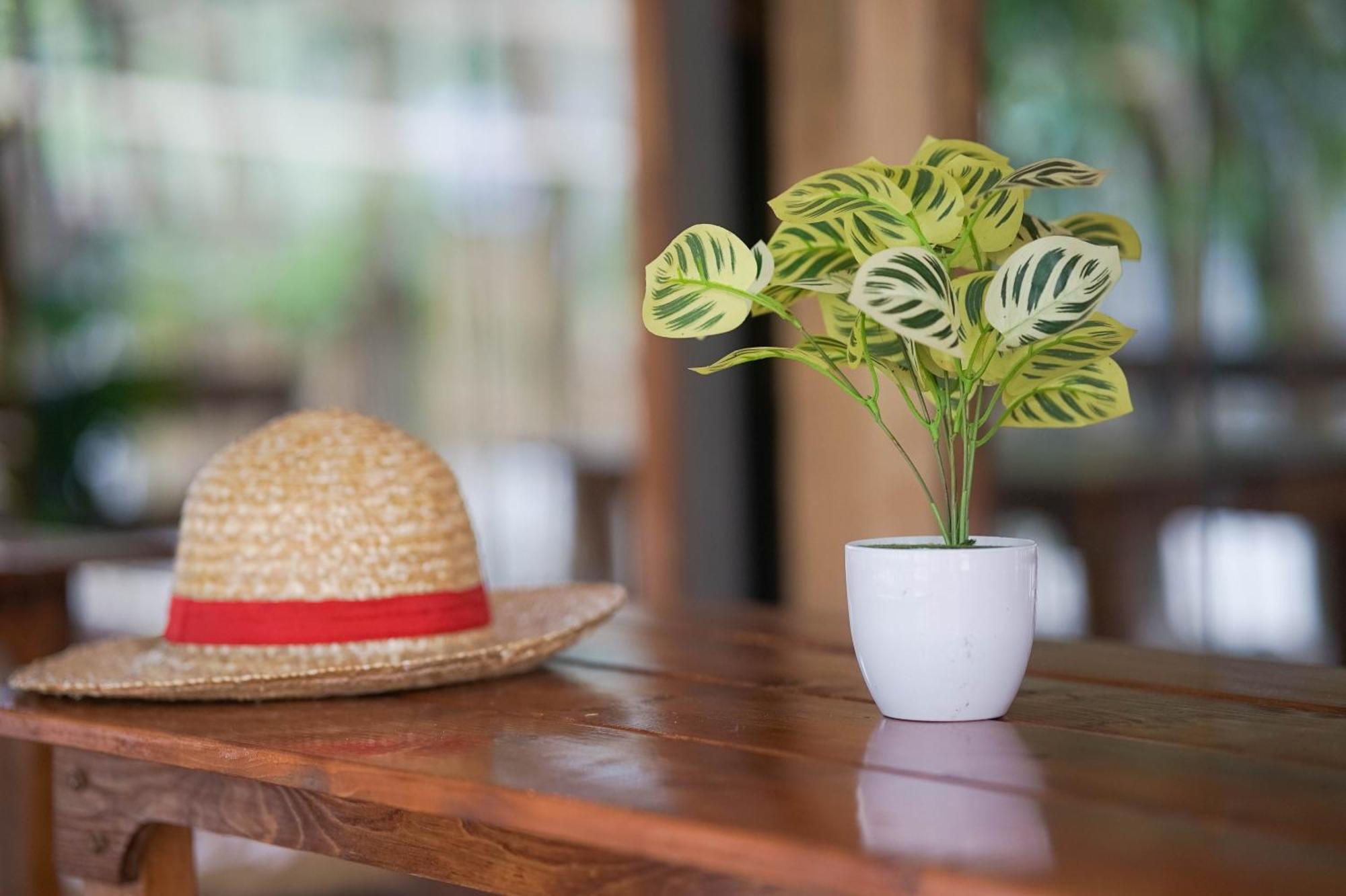 Straw Huts Liwliwa Hotel San Felipe  Ngoại thất bức ảnh